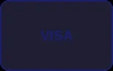 VISA信用卡支付方式图标